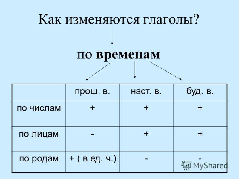 Определить настоящее время. В прошедшем времени глагол изменяется по числам и родам. Как изменяются глаголы. Как определить лицо глагола.