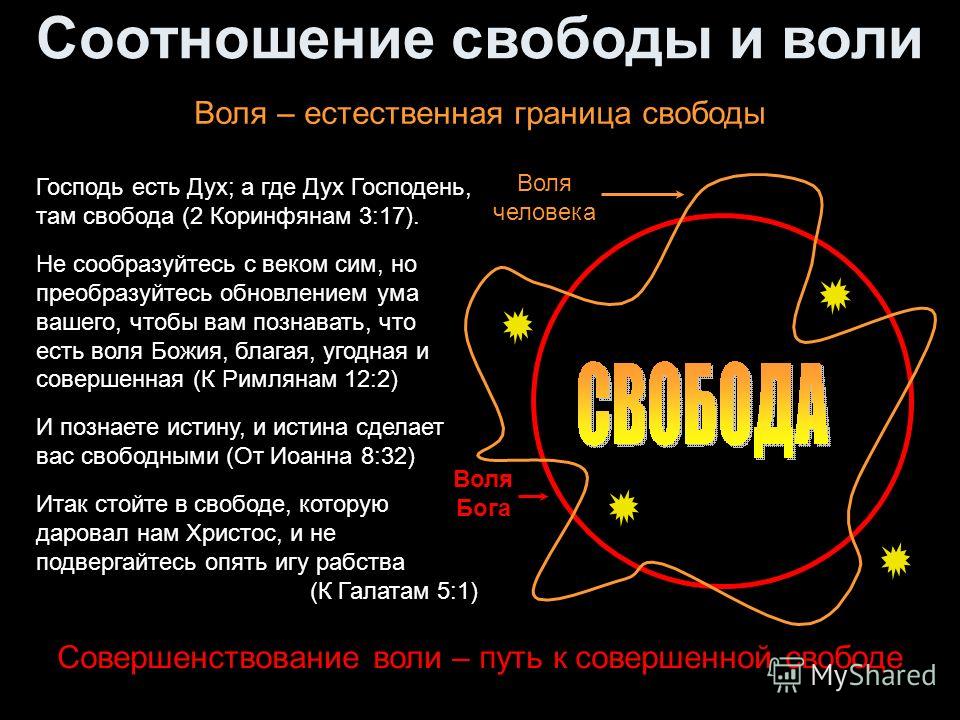 Какая свобода воли