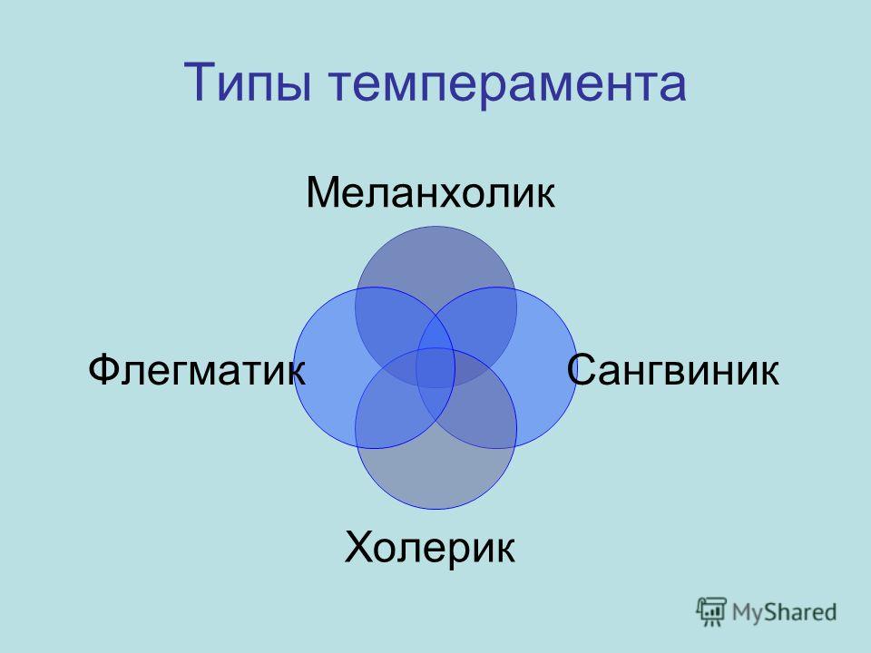 Тип меланхолик флегматик