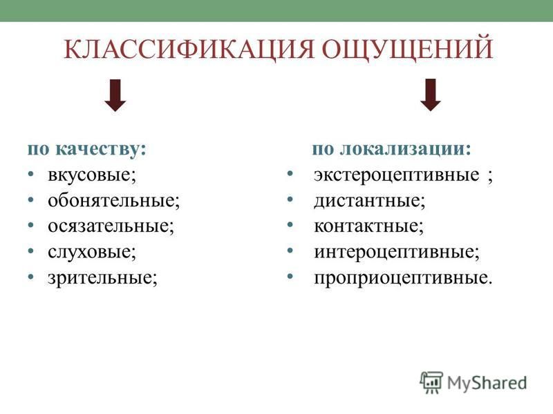 Субъективные качества слуховых ощущений