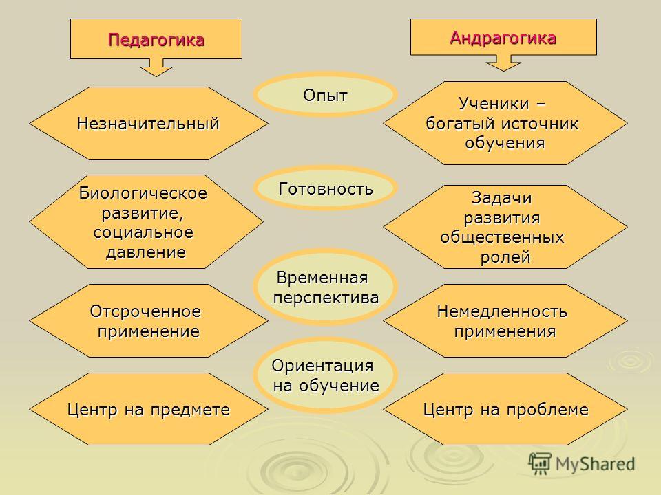 Ответы педагогика. Андрагогика. Андрагогика это в педагогике. Андрагогика принципы. Подходы к обучению взрослых андрагогика.