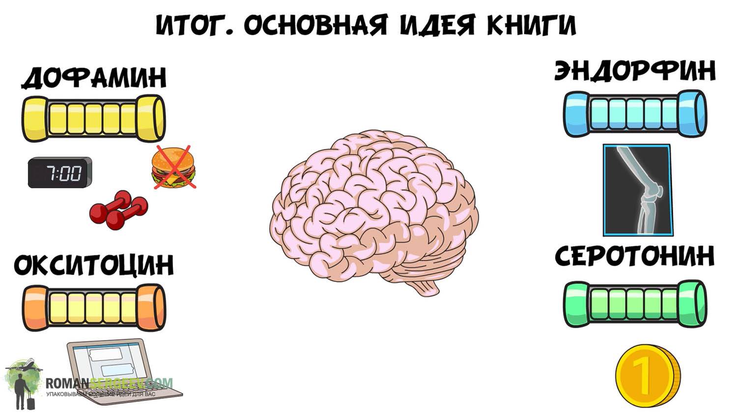 Эндорфины мозга