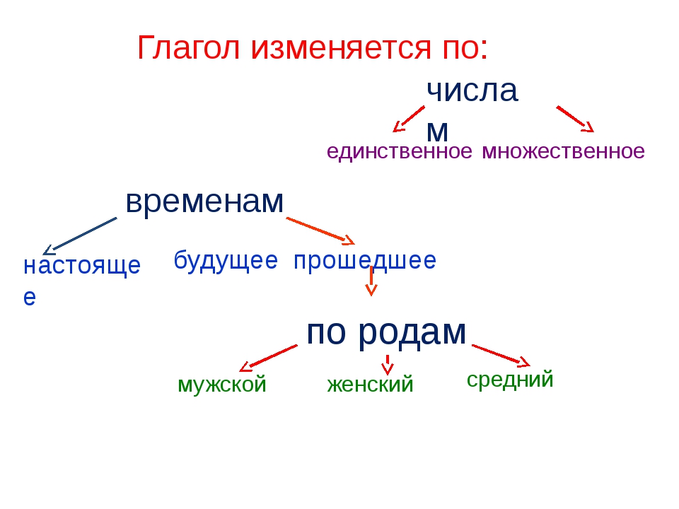 Род глаголов настоящего времени