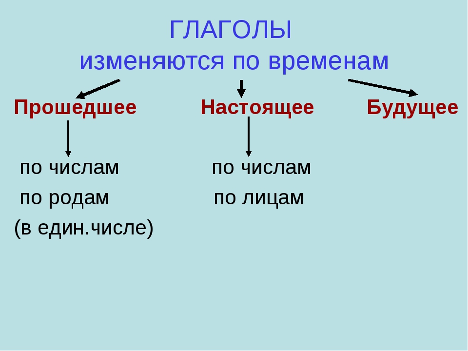 Будущим числом. Как изменяются глаголы. Глаголы изменяются по. Глаголы прошедшего времени изменяются по. Глаголы настоящего времени изменяются по.