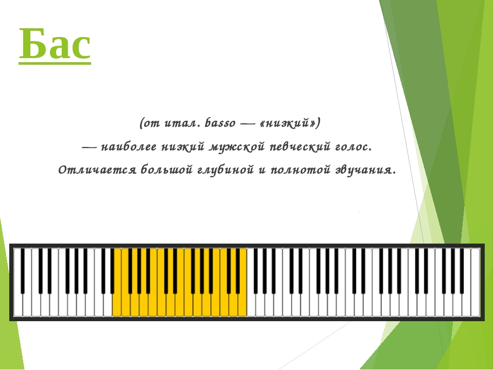 Бас голос. Тембры певческих голосов. Бас это в Музыке определение. Тембры мужских голосов. Тенор это в Музыке.