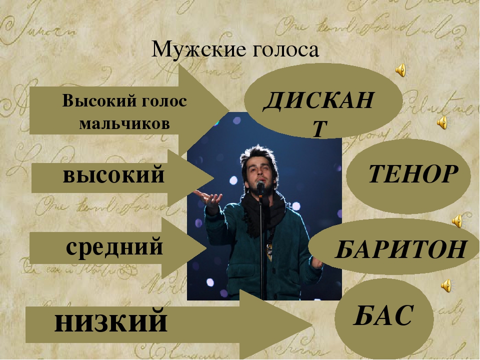 Мужские голоса вокал. Тенор сопрано баритон. Голоса бас баритон тенор.