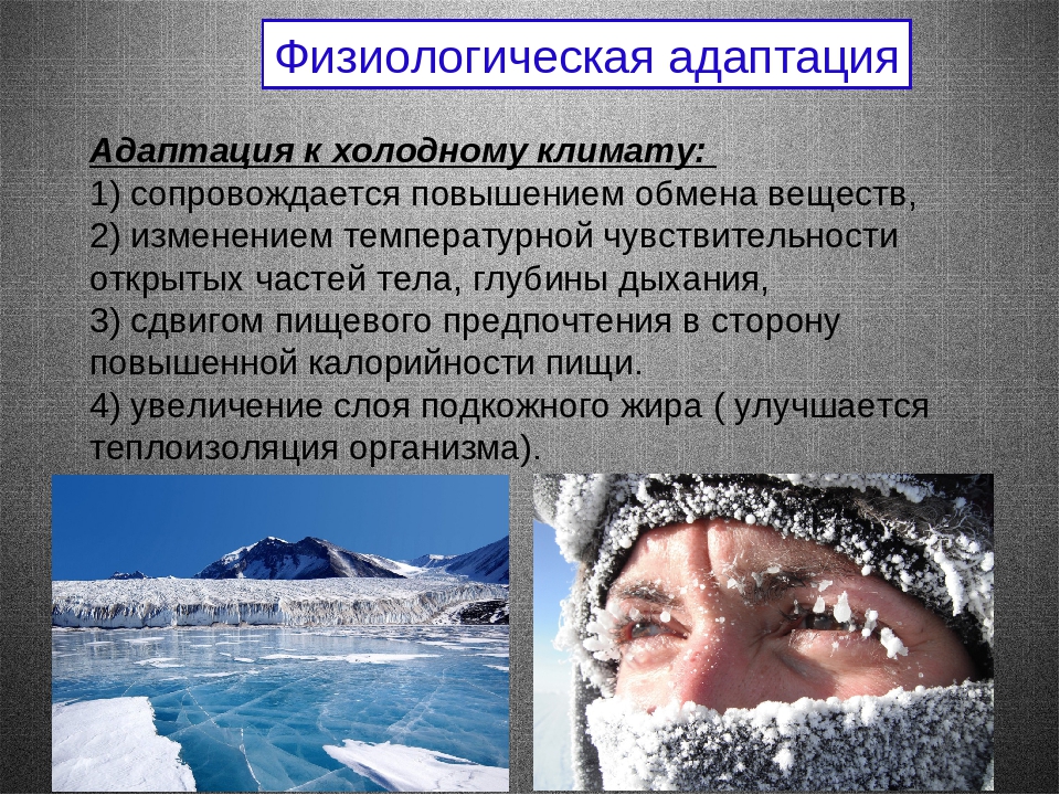 Адаптивные возможности. Физиологическая адаптация к холодному климату. Адаптация человека к холоду. Физиологическая адаптация человека к холоду. Адаптация человека к холодному климату.