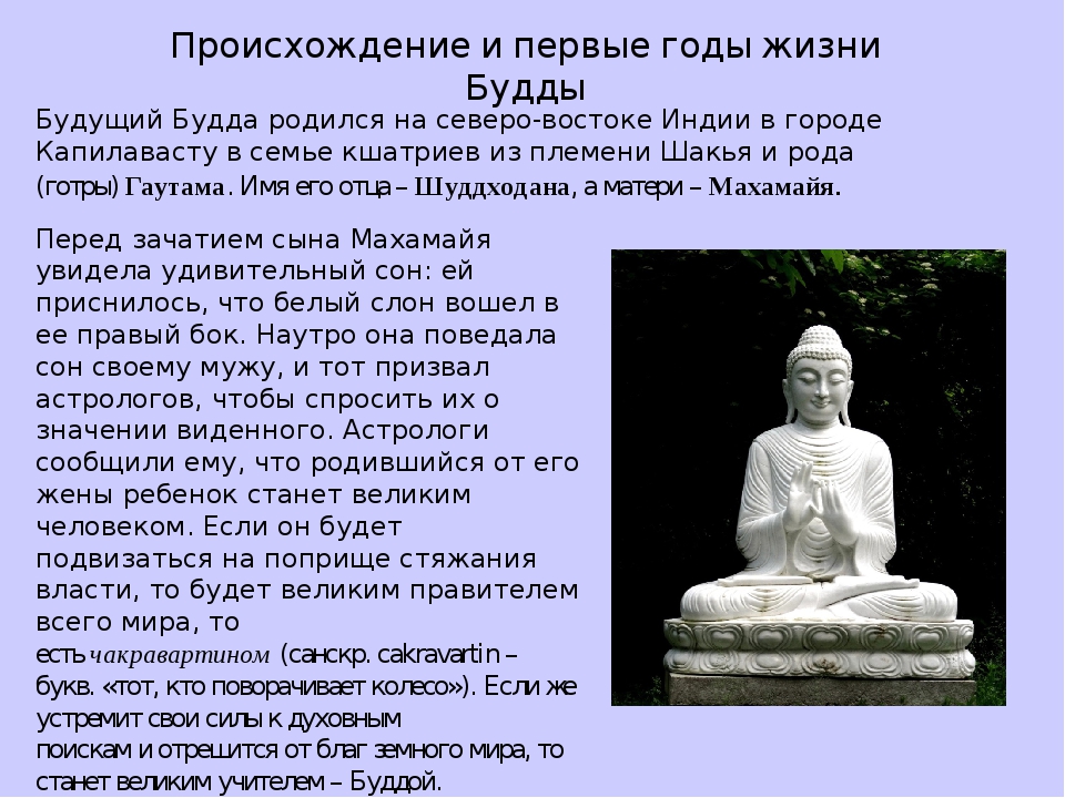 Код на будду. Буддизм доклад. Рассказ о Будде. Сообщение о жизни Будды. Будда родился.