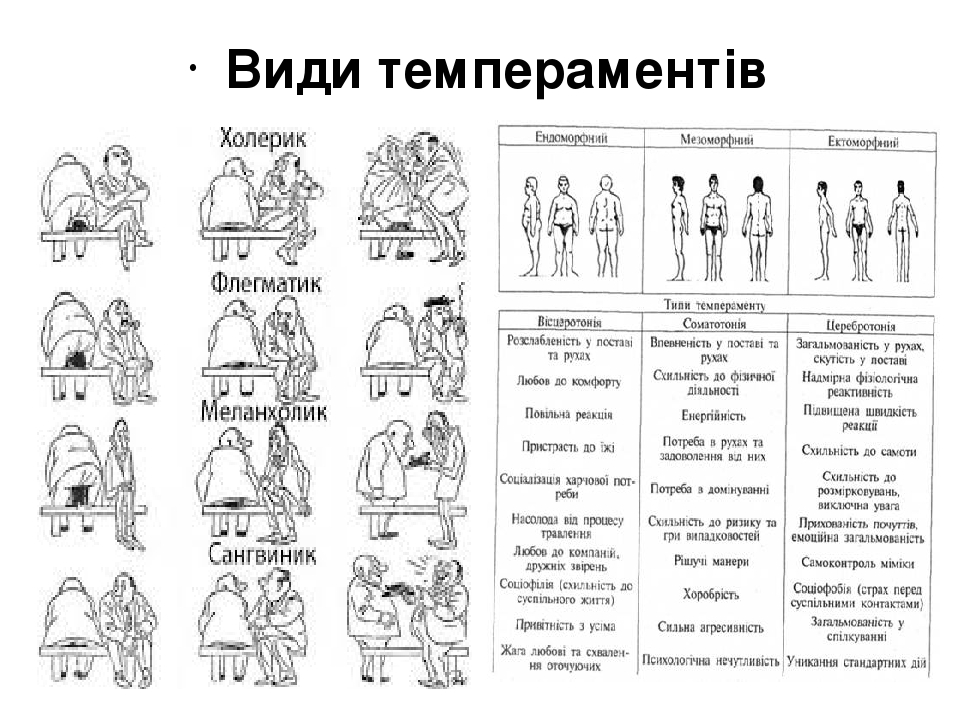 Тест меланхолик сангвиник флегматик. Кто такой холерик сангвиник флегматик меланхолик.