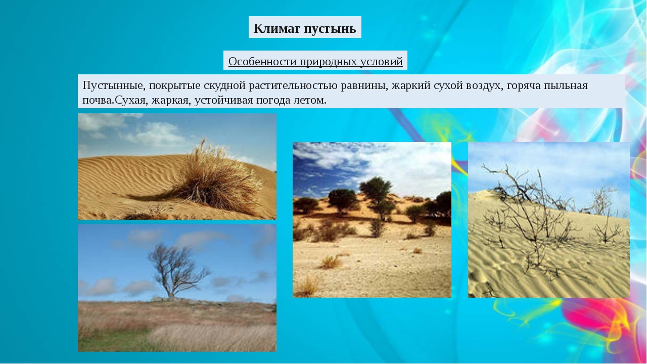 Какие климатические условия в пустыне. Климатические условия пустыни и полупустыни в России. Климат пустынь. Природные условия пустыни. Климатические условия пустыни.