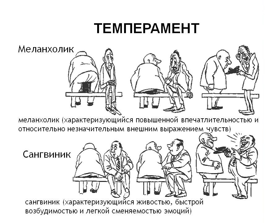 Типы характера в картинках