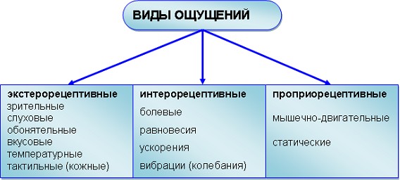 Примеры ощущений в психологии. Виды ощущений в психологии таблица. Классификация ощущения и восприятия в психологии. Виды ощущений в психологии кратко. Таблица по видам ощущений.