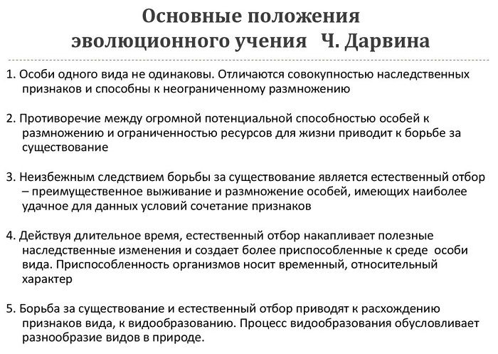 Основные положения теории Дарвина