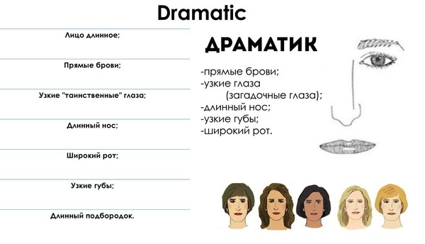 Типажи описание. Типажи Ларсон Драматик. Гамин Ларсон лицо. Типажи Ларсон лица. Система типажей Ларсон схема.