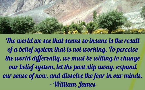 A belief quote by William James.